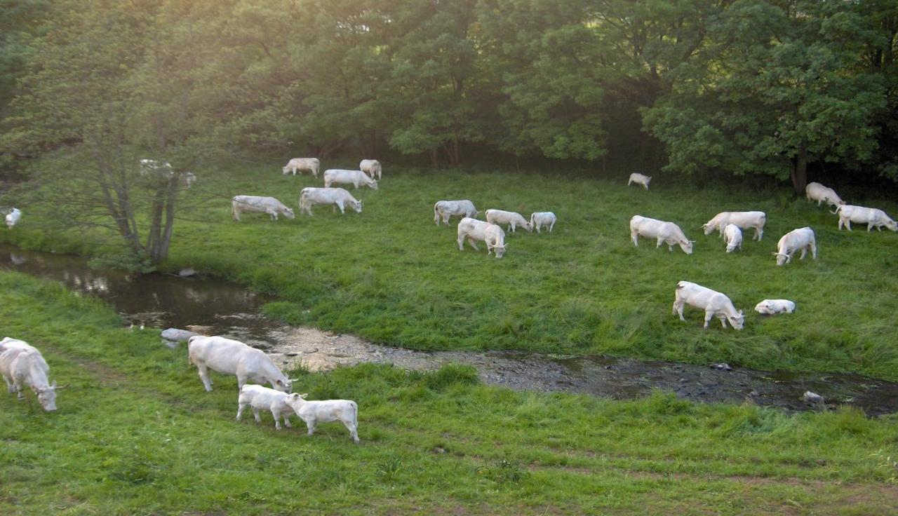 Betzemuehle 1 Bauernhof Leilighet Altenschlirf Eksteriør bilde